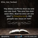 The Bible confirms that no one can see God. "No one has ever seen Him. And no one can see Him" (1Timothy 6:16). Did people see Jesus or not?