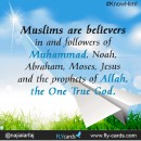 Muslims are believers in and followers of Muhammad, Noah, Abraham, Moses, Jesus and the prophets of Allah, the One True God.