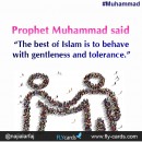 Prophet Muhammad said: “The best of Islam is to behave with gentleness and tolerance.”