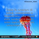 All Allah's creatures, which we may or may not know, or have not yet been discovered, are aspects of His infinite creation.
