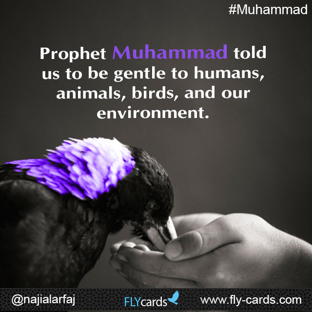 Prophet Muhammad told us to be gentle to humans, animals, birds, and our environment.