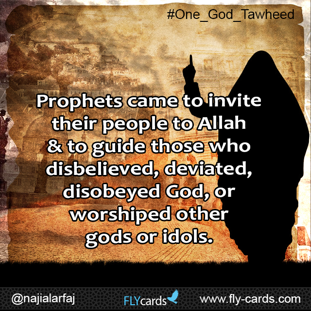 Prophets came to invite their people to Allah & to guide those who disbelieved, deviated, disobeyed God, or worshipped other gods or idols.