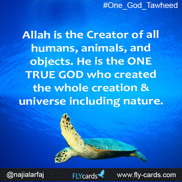 Allah is the Creator of all humans, animals, and objects. He is the ONE TRUE GOD who created the whole creation& universe including nature. 