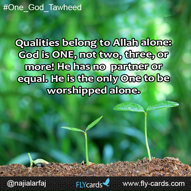 Qualities belong to Allah alone: God is ONE, not two, three, or more! He has no partner or equal. He is the only One to be worshipped alone.