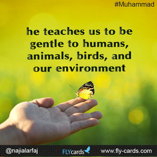 he teaches us to be gentle to humans, animals, birds, and our environment.  #Muhammad