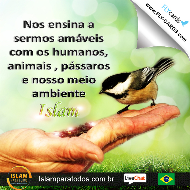 Nos ensina a sermos amáveis com os humanos, animais , pássaros e nosso meio ambiente. Islam!