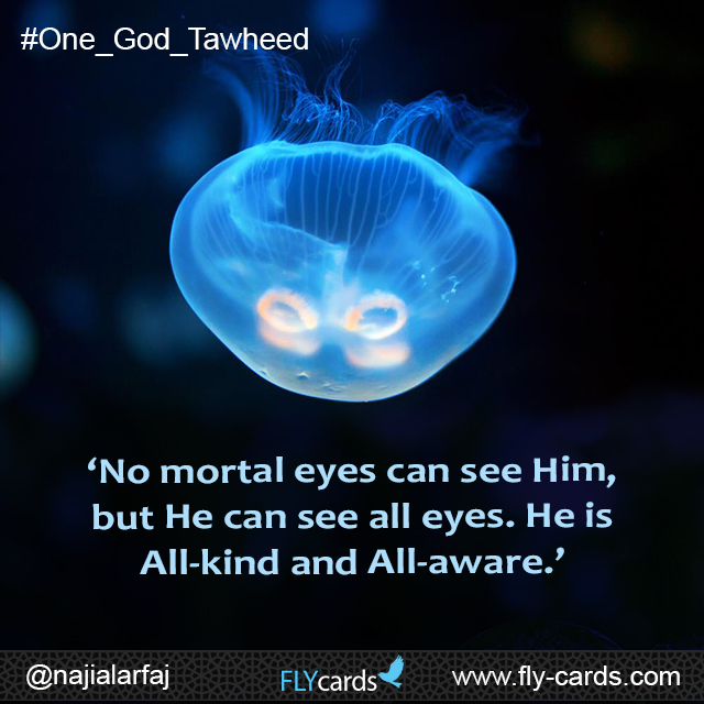 ‘No mortal eyes can see Him, but He can see all eyes. He is All-kind and All-aware.’