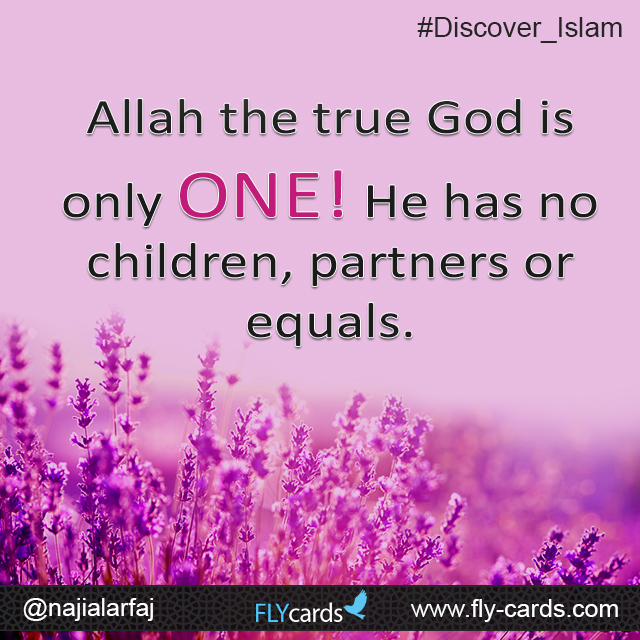 Allah the true God is only ONE! He has no children, partners or equals.