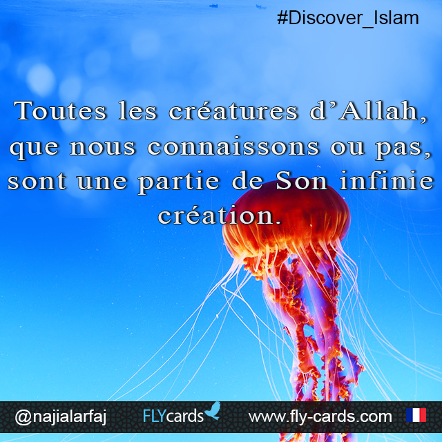 All Allah's creatures, which we may or may not know, are aspects of His infinite creation.