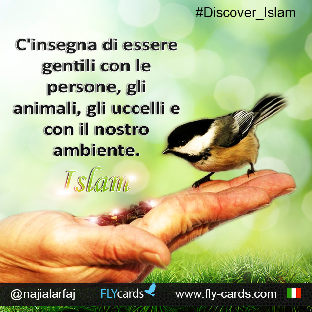 It teaches us to be gentle to humans, animals, birds, and our environment. Islam!