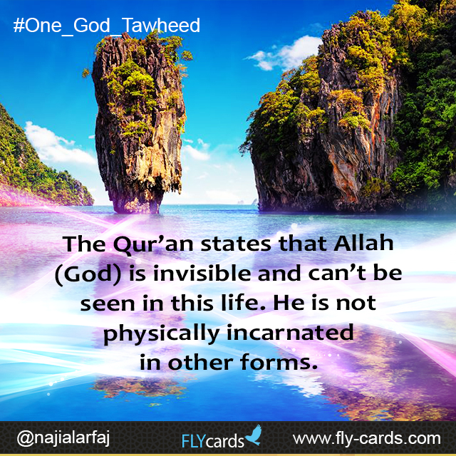 The Qur’an states that Allah (God) is invisible and can’t be seen in this life. He is not physically incarnated in other forms.
