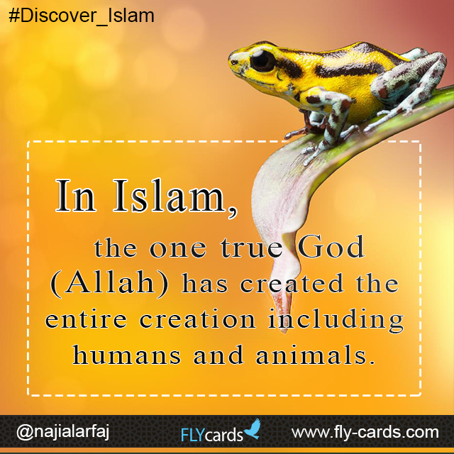 In Islam, the one true God (Allah) has created the entire creation including humans and animals. 