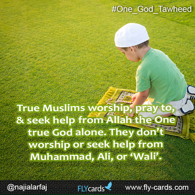 True Muslims worship, pray to, & seek help from Allah the One true God alone. They don’t worship or seek help from Muhammad, Ali, or ‘Wali’.