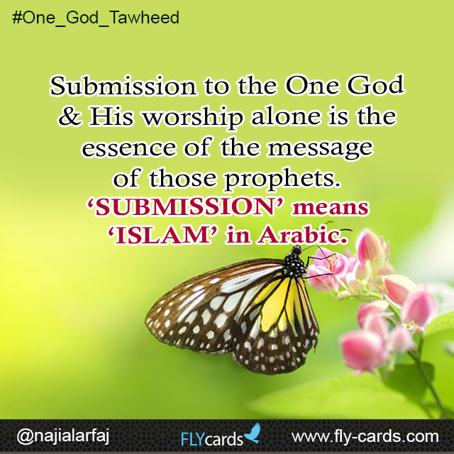 Submission to the One God & His worship alone is the essence of the message of those prophets.  ‘SUBMISSION’ means ‘ISLAM’ in Arabic.