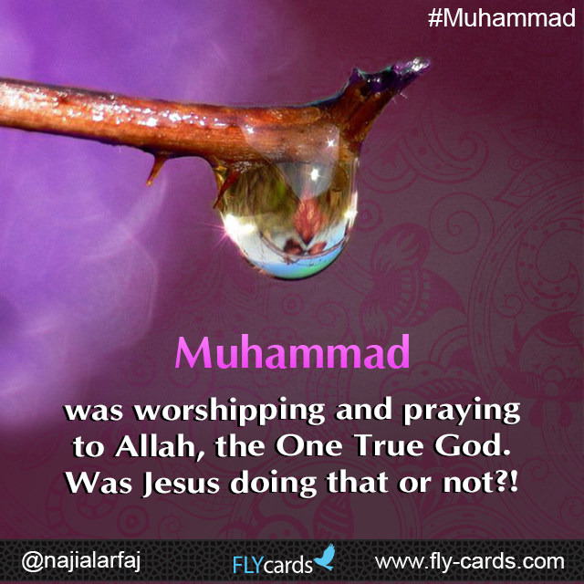 Muhammad was worshipping and praying to Allah, the One True God. Was Jesus doing that or not?!
