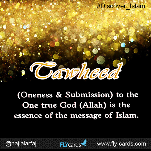 ‘Tawheed’ (Oneness & Submission) to the One True God (Allah) is the essence of the message of Islam.