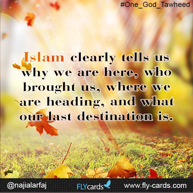 Islam clearly tells us why we are here, who brought us, where we are heading, and what our last destination is.