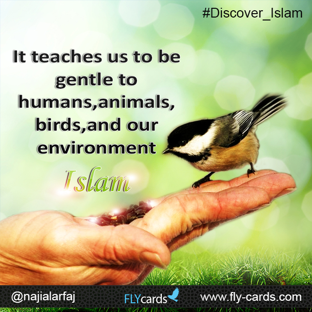 It teaches us to be gentle to humans , animals birds and our environment . islam