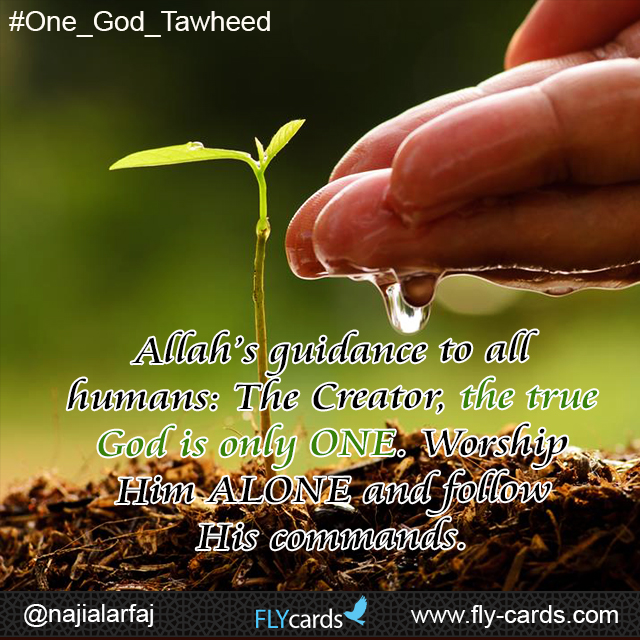Allah’s guidance to all humans: The Creator, the true God is only ONE. Worship Him ALONE and follow His commands.